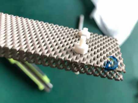 Platinized Titanium Mesh