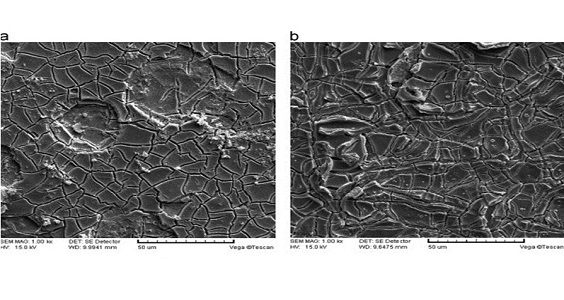 How Do MMO Titanium Anodes Work To Protect Cathodic